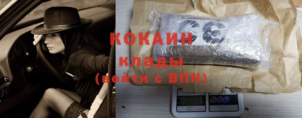 шишки Абинск