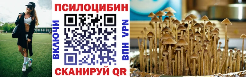 Галлюциногенные грибы Psilocybine cubensis Хабаровск