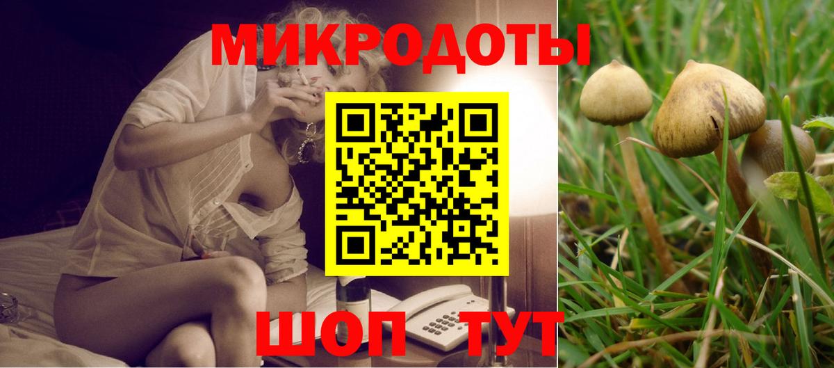 Хабаровск  Псилоцибиновые грибы прущие грибы  Вход с VPN 