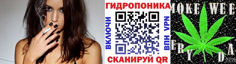 Конопля ГИДРОПОН  цены наркотик  Хабаровск 