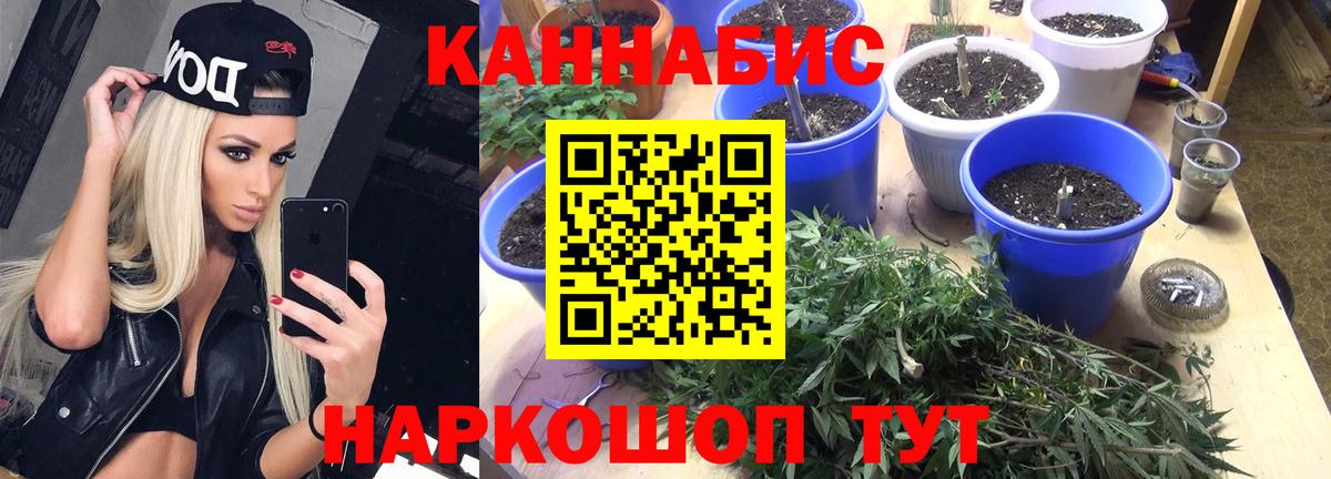 Хабаровск  Бошки Шишки AK-47  Бошки Шишки сатива  МАРИХУАНА гибрид  Вход с VPN 